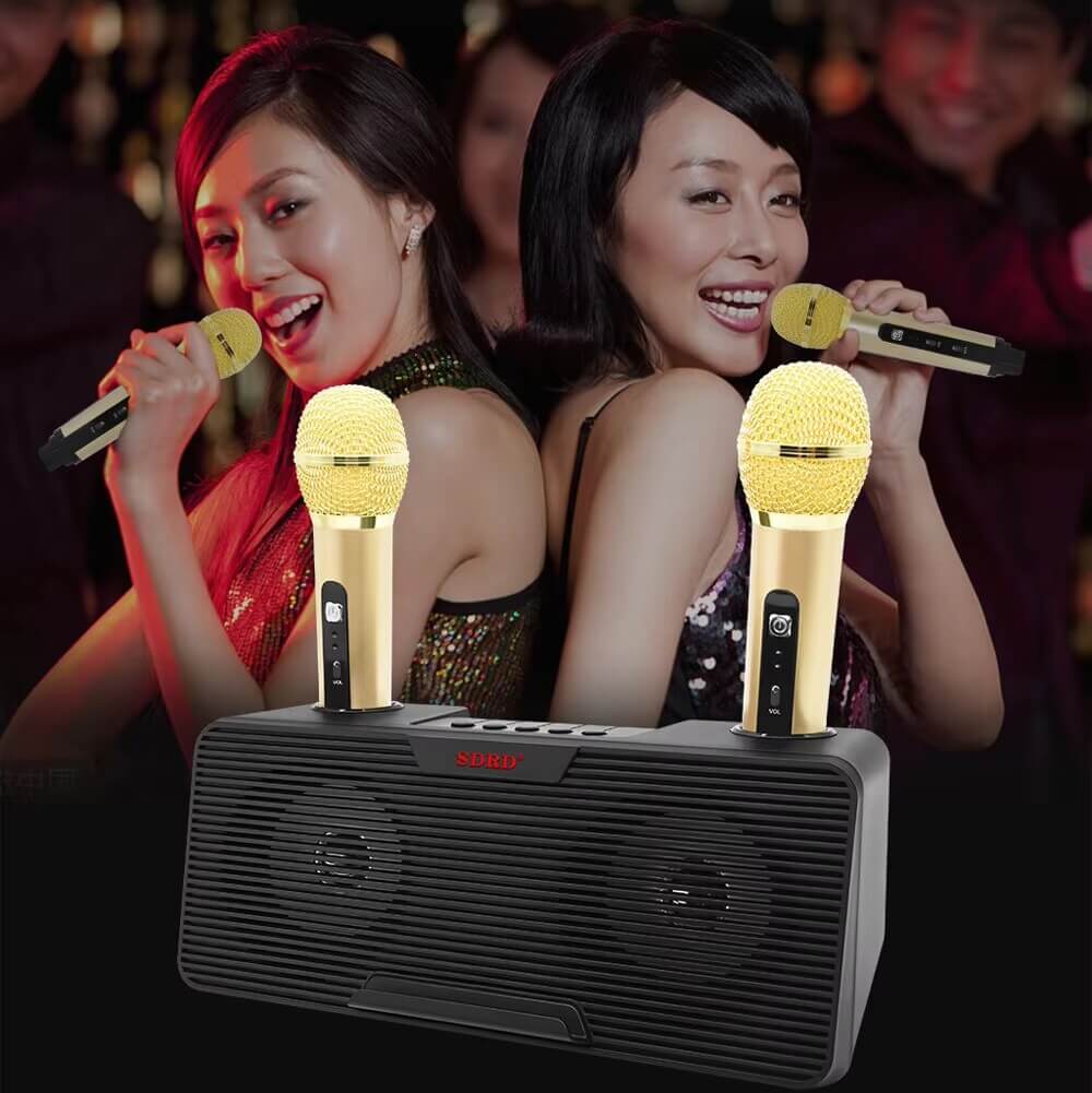 Mini Karaoke Speaker with 2 Microphones