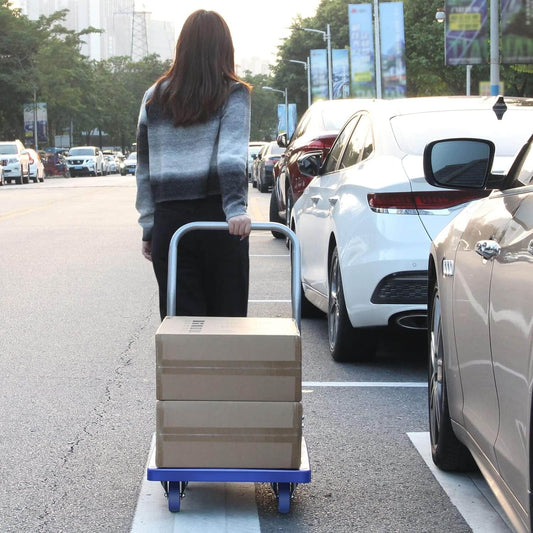 180kg Heavy Weight King Single Platform Trolley 50x70cm